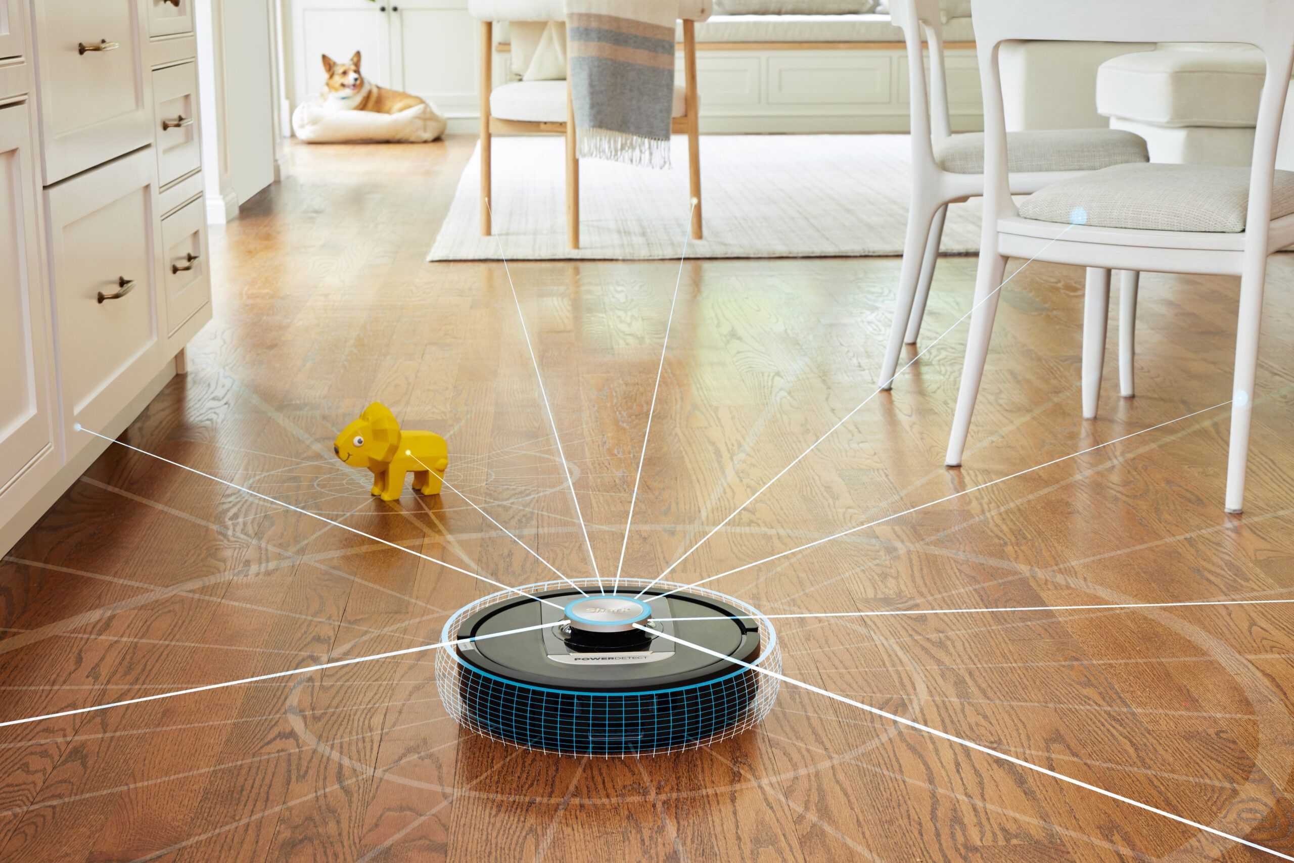 R_RV2820VEEU_InUse_LivingRoom_HomeMapping__Lasers